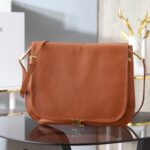 Triomphe Crossbody Bag – Smooth Leather with Signature Gold-Tone Hardware (Minimalist Luxury Staple)