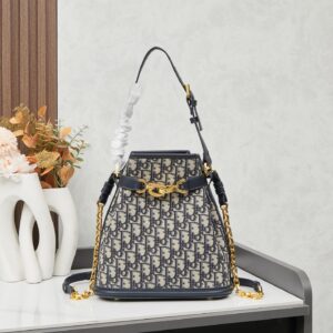 Caro Bucket Bag: Smooth Leather Styles with Signature "CD" Motif & Gold Hardware